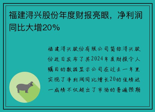 福建浔兴股份年度财报亮眼，净利润同比大增20%