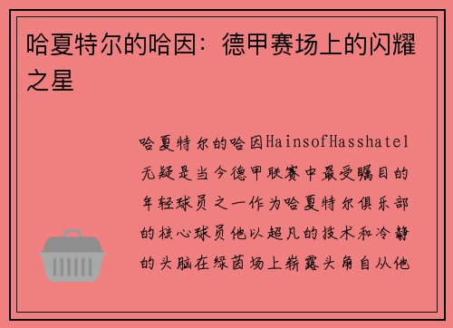 哈夏特尔的哈因：德甲赛场上的闪耀之星