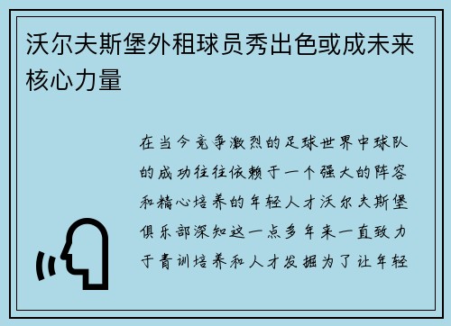 沃尔夫斯堡外租球员秀出色或成未来核心力量