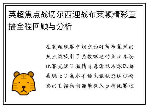 英超焦点战切尔西迎战布莱顿精彩直播全程回顾与分析