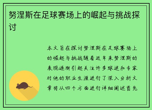 努涅斯在足球赛场上的崛起与挑战探讨