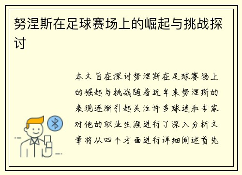 努涅斯在足球赛场上的崛起与挑战探讨